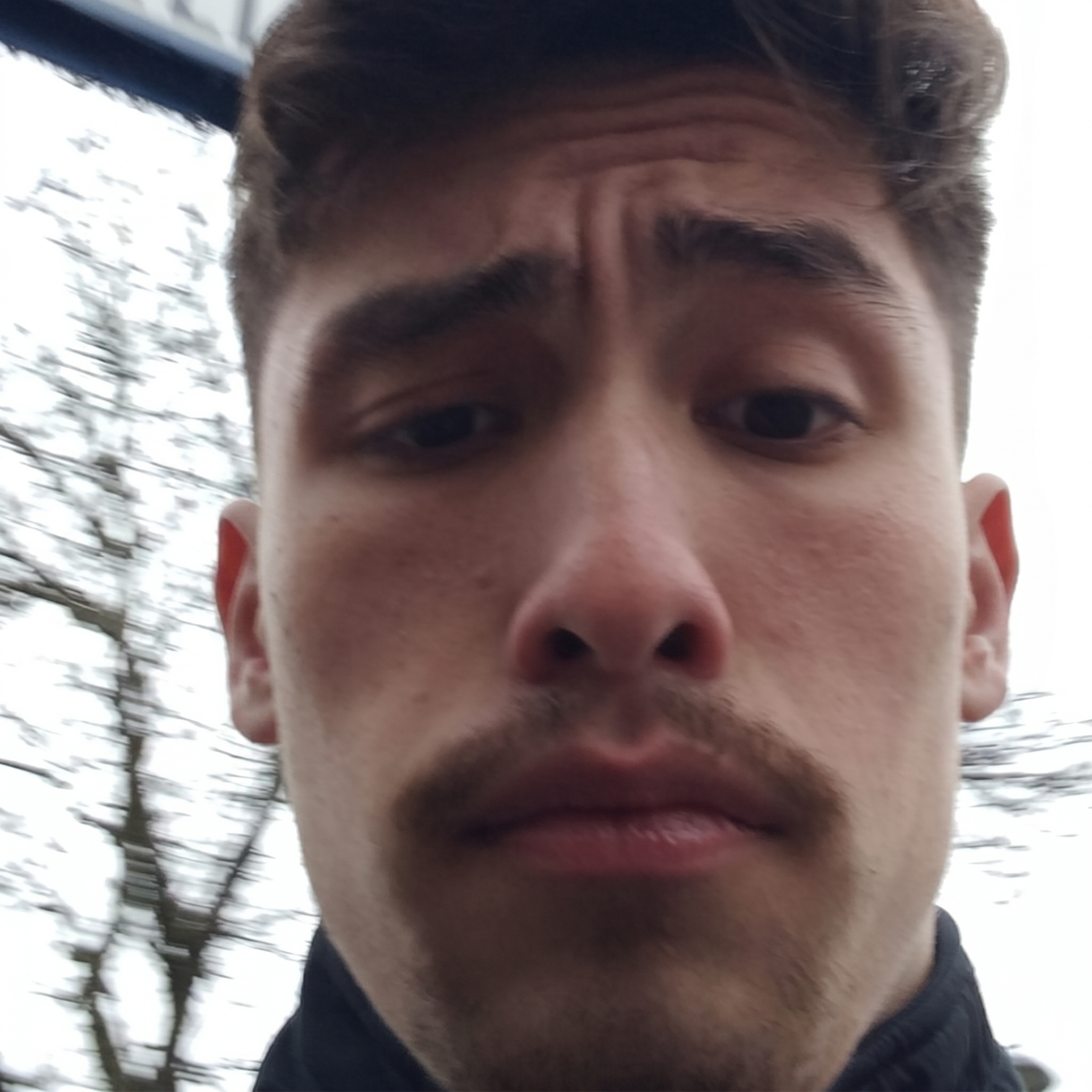 Leo (@embrleo)